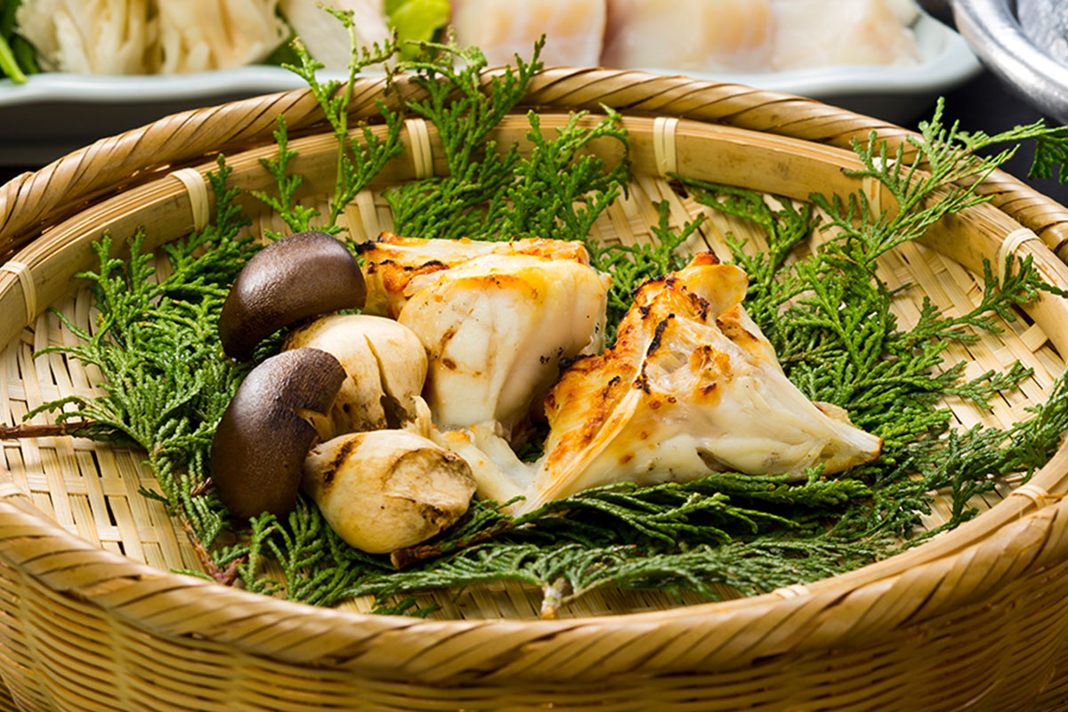 写真：きのこなどの料理